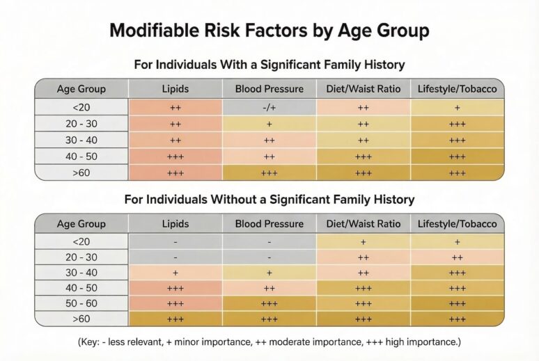 **Alt text:** Infographic titled “Modifiable Risk Factors by Age Group” showing how cardiologists prioritize cardiovascular risk factors across age ranges, divided into two sections: individuals with and without a significant family history. Each section presents a table with age groups (<20, 20–30, 30–40, 40–50, 50–60, >60) and four risk categories: lipids, blood pressure, diet/waist ratio, and lifestyle/tobacco. Importance is graded using symbols (− = less relevant, + = minor, ++ = moderate, +++ = high). For individuals with a significant family history, lipids and diet/waist ratio are already moderately important before age 20, with lifestyle factors increasing in importance by early adulthood. By ages 40–50 and above, all risk factors are rated high importance. For individuals without a significant family history, risk factors are minimal before age 20, with diet and lifestyle becoming moderately important in the 20s–30s. Lipids and blood pressure gain importance from age 30 onward, and by age 50+, all categories are rated high importance. The visual emphasizes earlier and more aggressive risk factor management in patients with a family history compared to those without. 